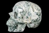 Realistic, Polished Tree Agate Skull #116698-4